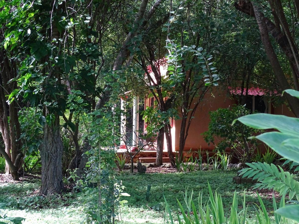 The Flycatcher Inn Retreat HotelSanta Elena エクステリア 写真