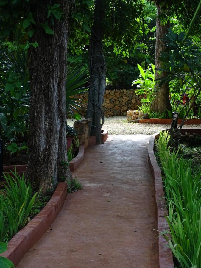 The Flycatcher Inn Retreat HotelSanta Elena エクステリア 写真