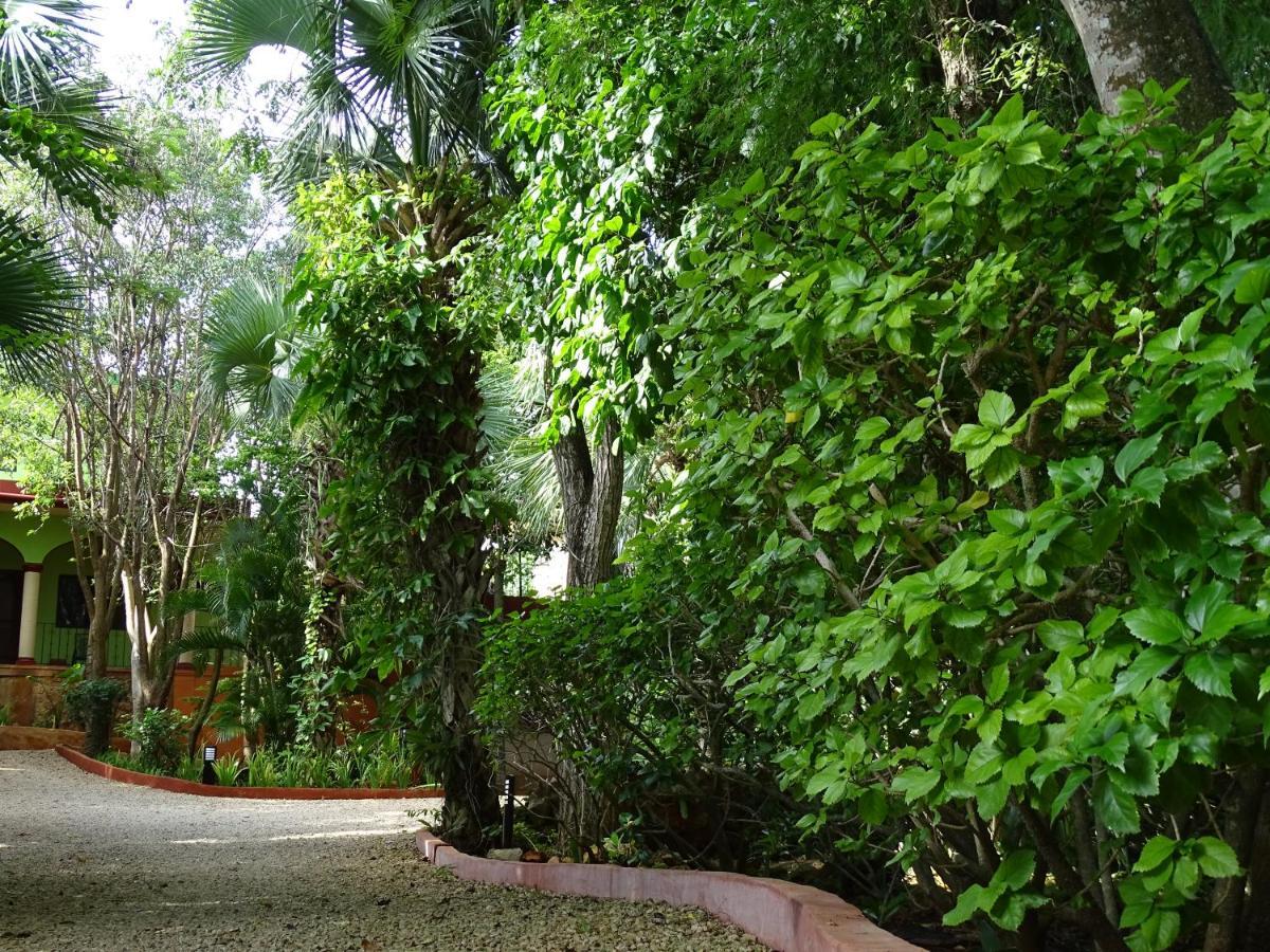 The Flycatcher Inn Retreat HotelSanta Elena エクステリア 写真